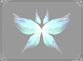 Wings of Spirit